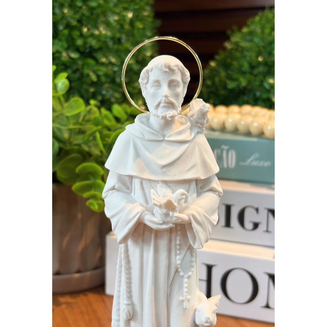 São Francisco - Pó de Mármore - 20cm - com resplendor banhado a ouro - Imagem 2