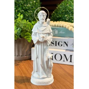 São Francisco - Pó de Mármore - 20cm - com resplendor banhado a ouro