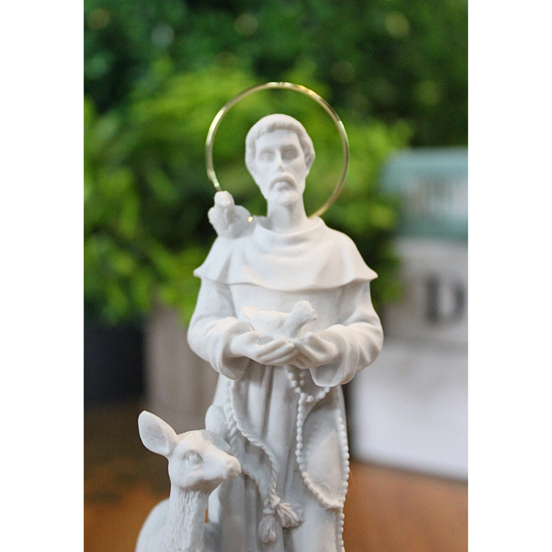 São Francisco - Pó de Mármore - 14cm - com resplendor banhado a ouro - Imagem 2